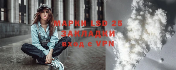 ПСИЛОЦИБИНОВЫЕ ГРИБЫ Гусь-Хрустальный