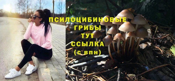 mix Гусев