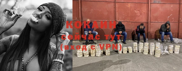 ПСИЛОЦИБИНОВЫЕ ГРИБЫ Гусь-Хрустальный