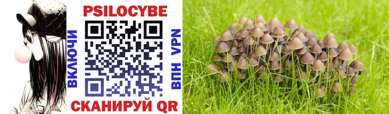 Псилоцибиновые грибы Cubensis Купить где Красновишерск